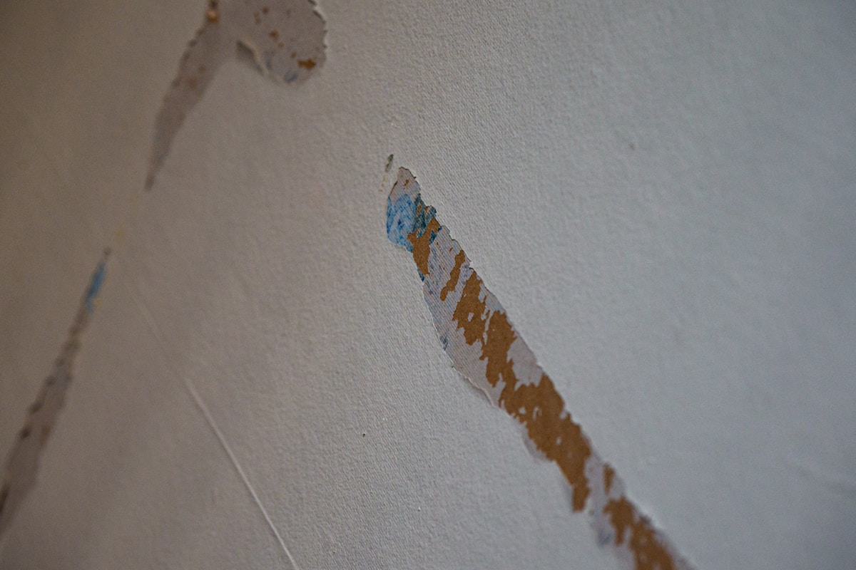 Storm Damage Repair service in Jupiter, FL